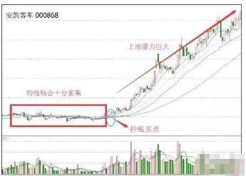 下一轮牛市预测，精选解析、解释与落实